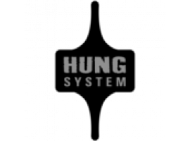 HUNG SYSTEM