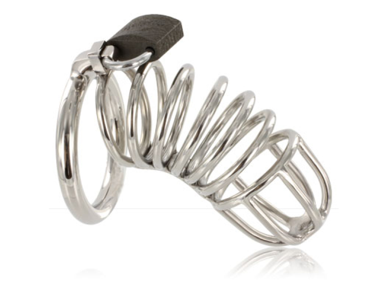 METAL HARD - CAGE RING CHASTITY DEVICE