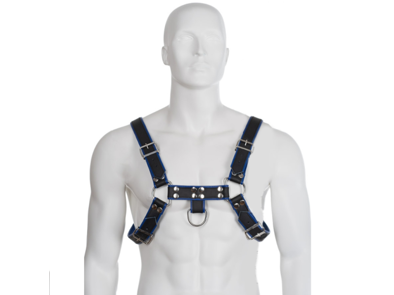 LEATHER BODY - BLUE AND BLACK LEATHER HARNESS CHEST BULLDOG