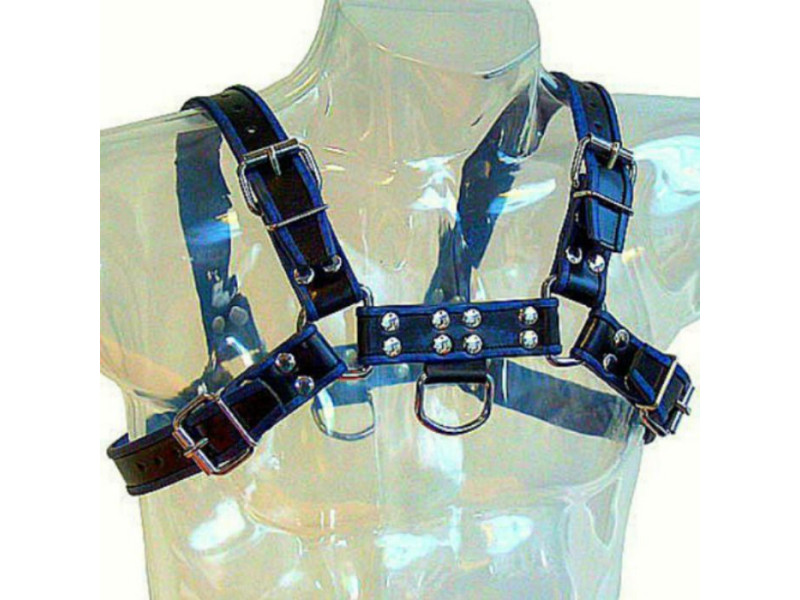 LEATHER BODY - BLUE AND BLACK LEATHER HARNESS CHEST BULLDOG