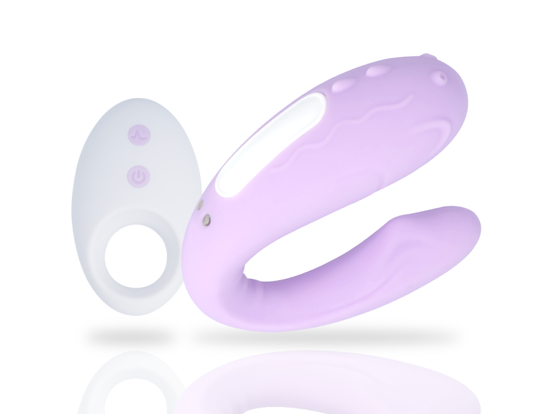 MIA - RIN REMOTE CONTROL PARTNER