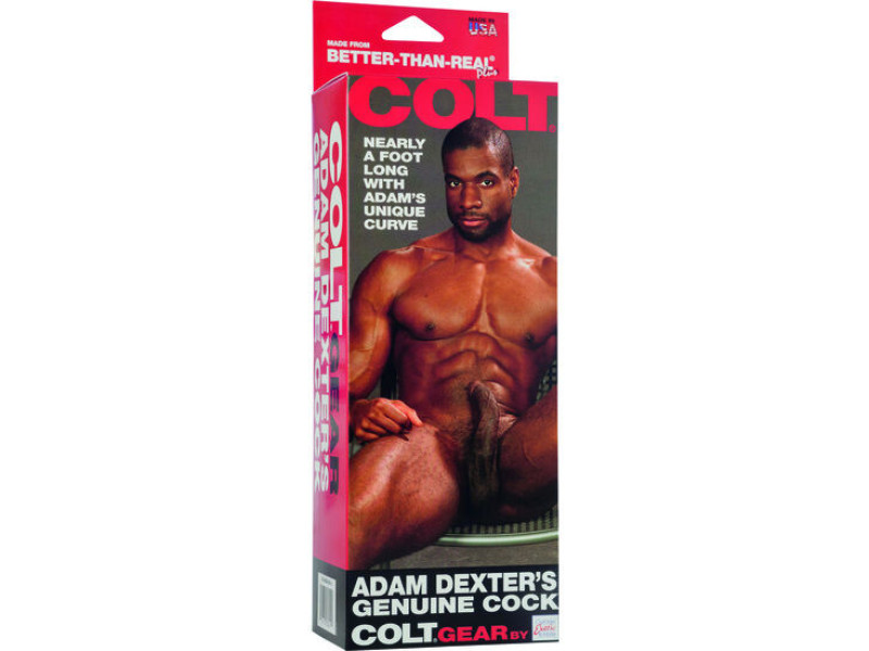 CALEXOTICS - COLT ADAM DEXTERS COCK