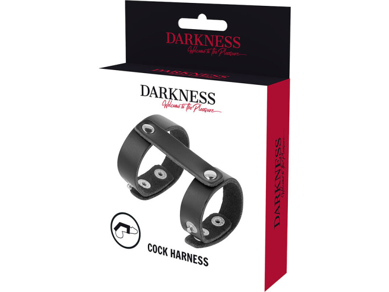 DARKNESS - LEATHER ADJUSTABLE PENIS AND TESTICLE RING