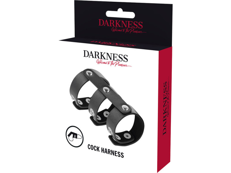 DARKNESS - ADJUSTABLE LEATHER DOUBLE PENIS AND TESTICLE RING