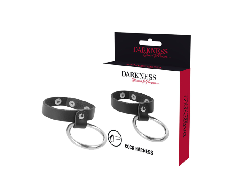 DARKNESS - METAL RING FOR THE PENIS AND TESTICLES