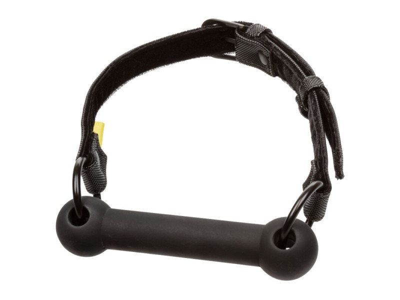 CALEXOTICS - BOUNDLESS BAR GAG