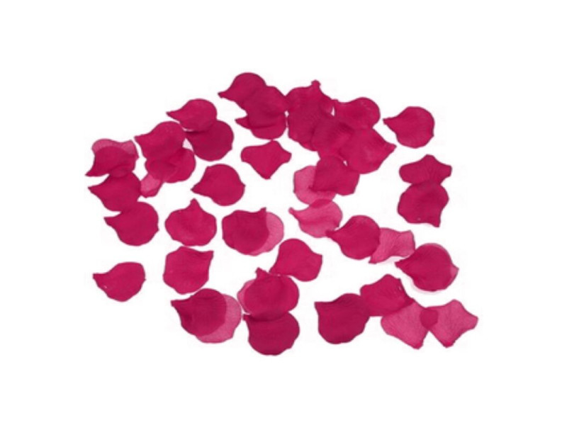 SPICY DEVIL - 100 FUCHSIA PETALS