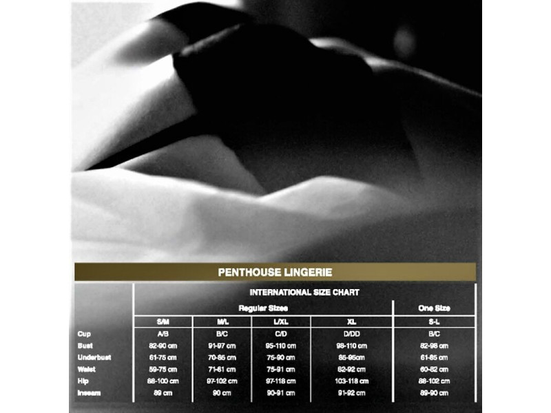 PENTHOUSE - HOTTER THAN HELL TEDDY S/M/L