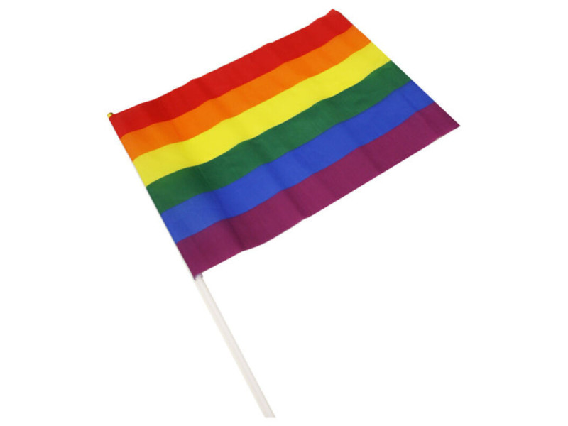 PRIDE - LGBT FLAG LARGE PENNANT