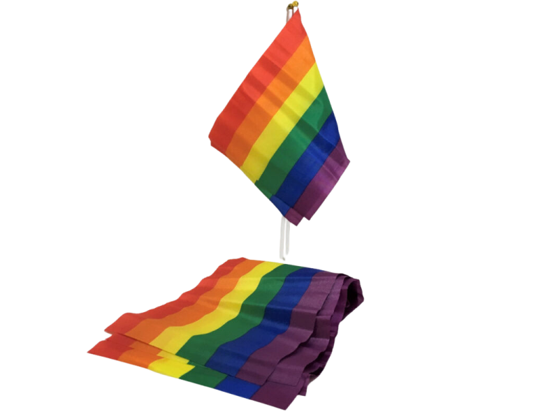 PRIDE - LGBT FLAG SMALL FLAG BANNER