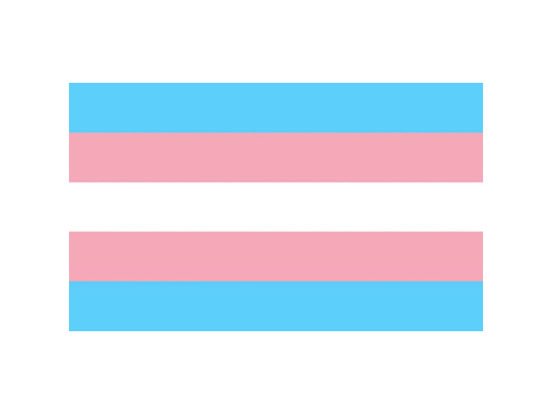 PRIDE - TRANSEXUAL FLAG 90 X 150