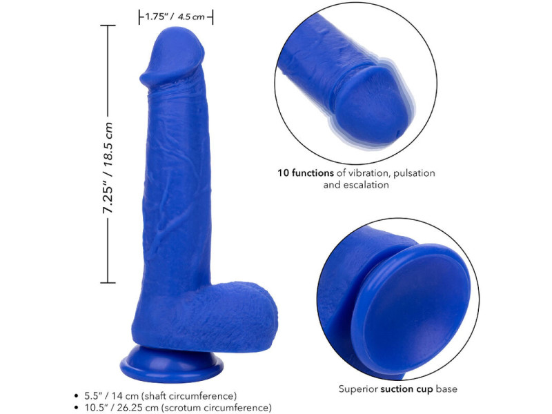 CALEXOTICS - ADMIRAL CAPTAIN REALISTIC DILDO VIBRATOR BLUE