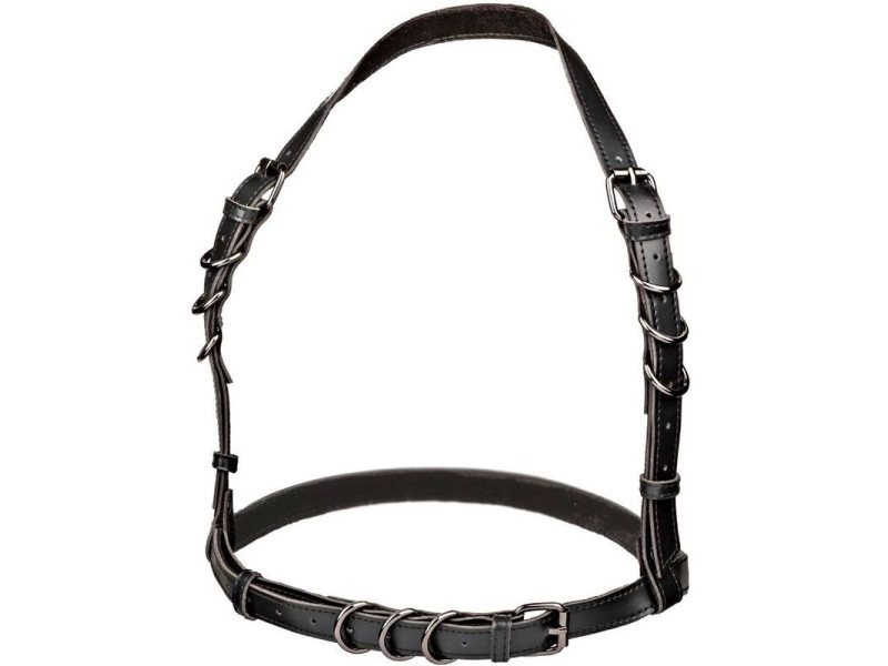 CALEXOTICS - EUPHORIA HALTER BUCKLE HARNESS BLACK