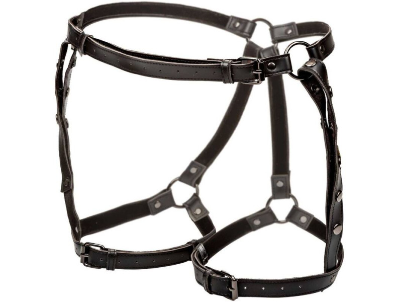 CALEXOTICS - EUPHORIA PLUS SIZE RIDING THIGH HARNESS