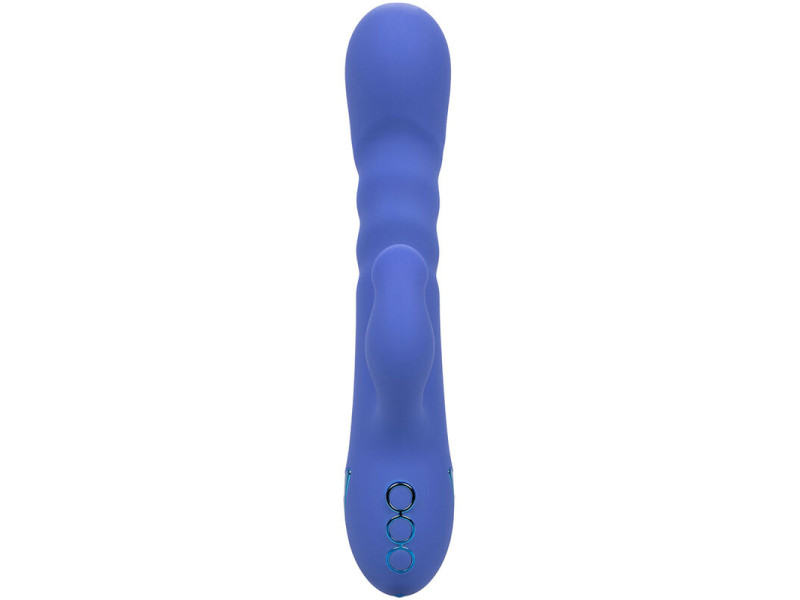 CALEXOTICS - L.A LOVE VIBRATOR & SUCKER BLUE BY CALIFORNIA DREAMING