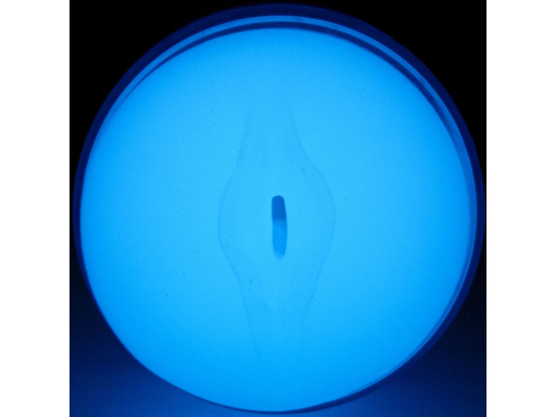 KIIROO - FEEL GLOW IN THE DARK STROKER