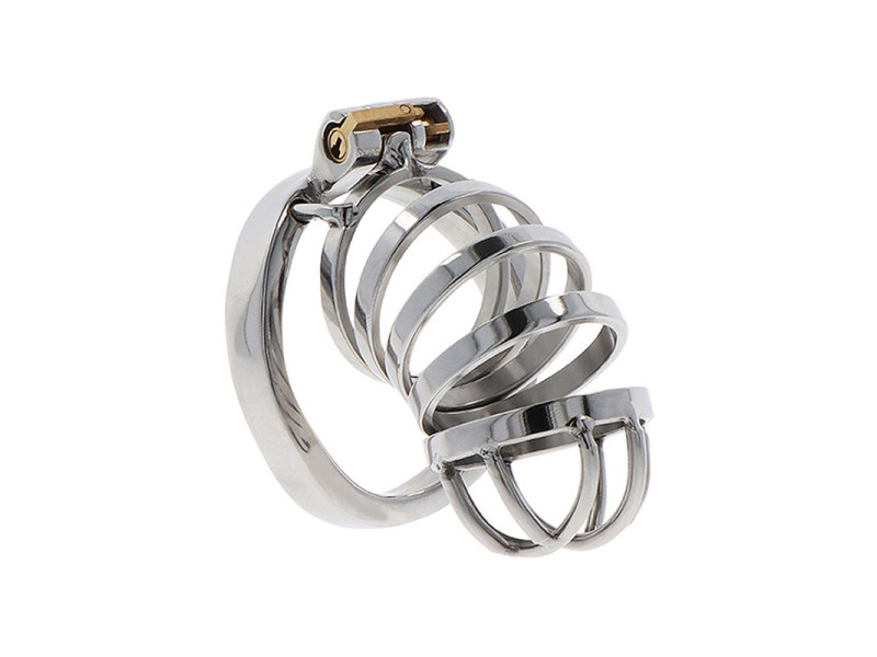 HIDDEN DESIRE - EXTREME CHASTITY COCK CAGE METAL